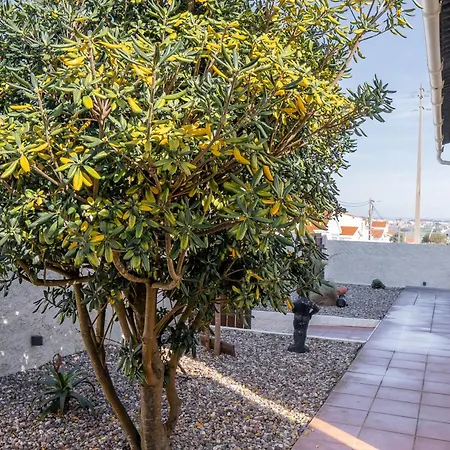 Palmeiras House - 4*