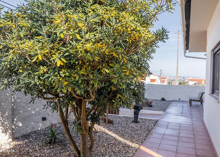 Palmeiras House - 4*